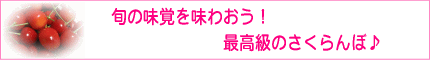 {̖o𖡂킨Iō̃TN{